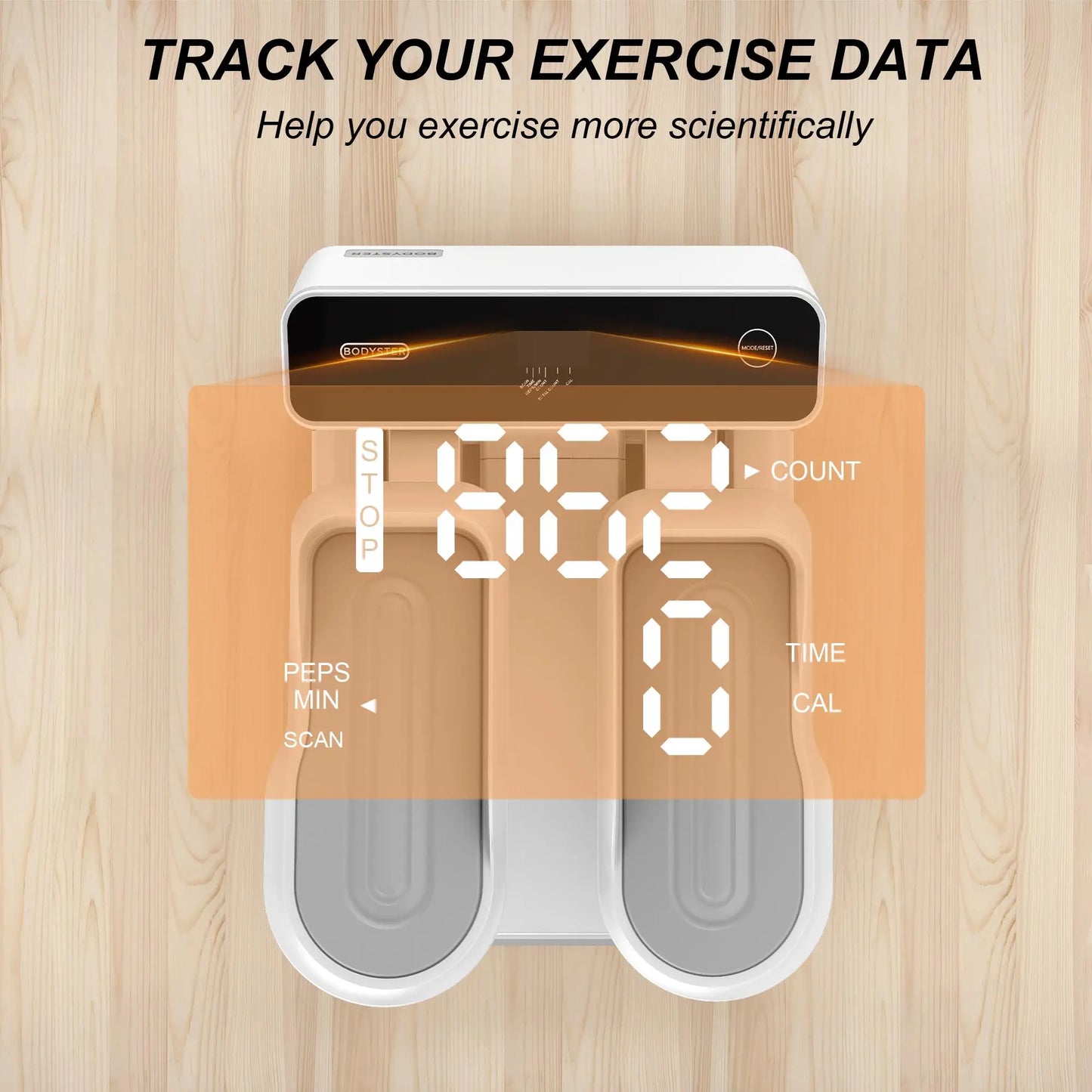 Ultimate Home Workout with Mini Stair Stepper