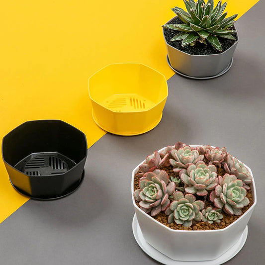 1PC succulent plant flowerpot large caliber flowerpot - MyLootWare