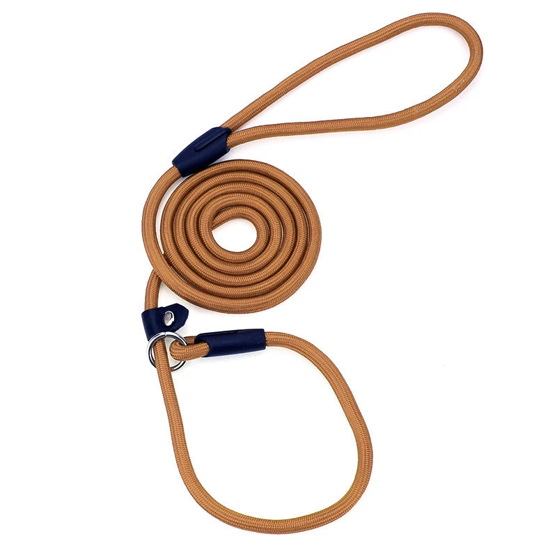 Nylon Dog Training Leash for Small & Medium Dogs