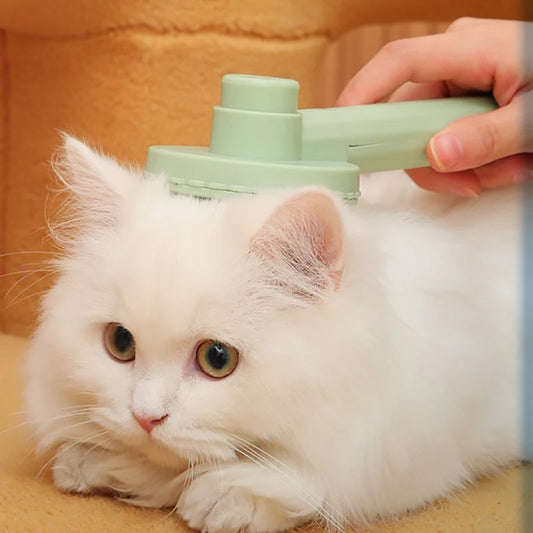 Pet Dog Hair Brush Cat Comb Grooming And Care Cat