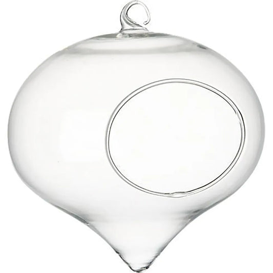 Clear Flower Hanging Vase Glass Planter Succulents