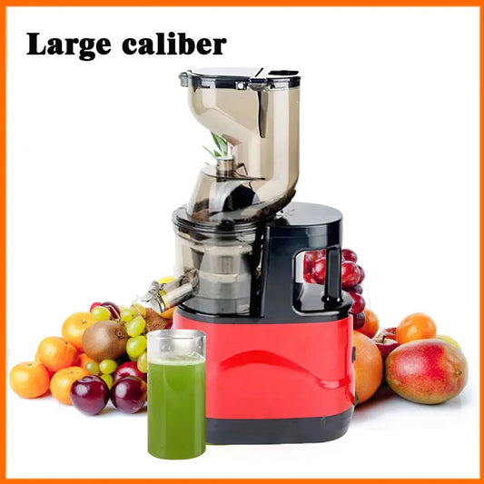 300W Multifunctional Juicer Cold Press Household Residue Separation Large Caliber Fruit and Vegetable Juice Extractor - MyLootWare