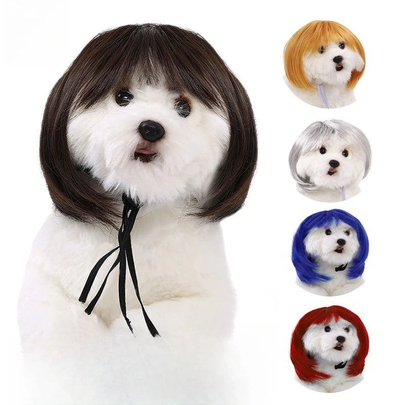 Cute Pet Wigs for Dogs and Cats with Soft