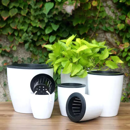 Self-Watering Hydroponic Flower Pot for Home