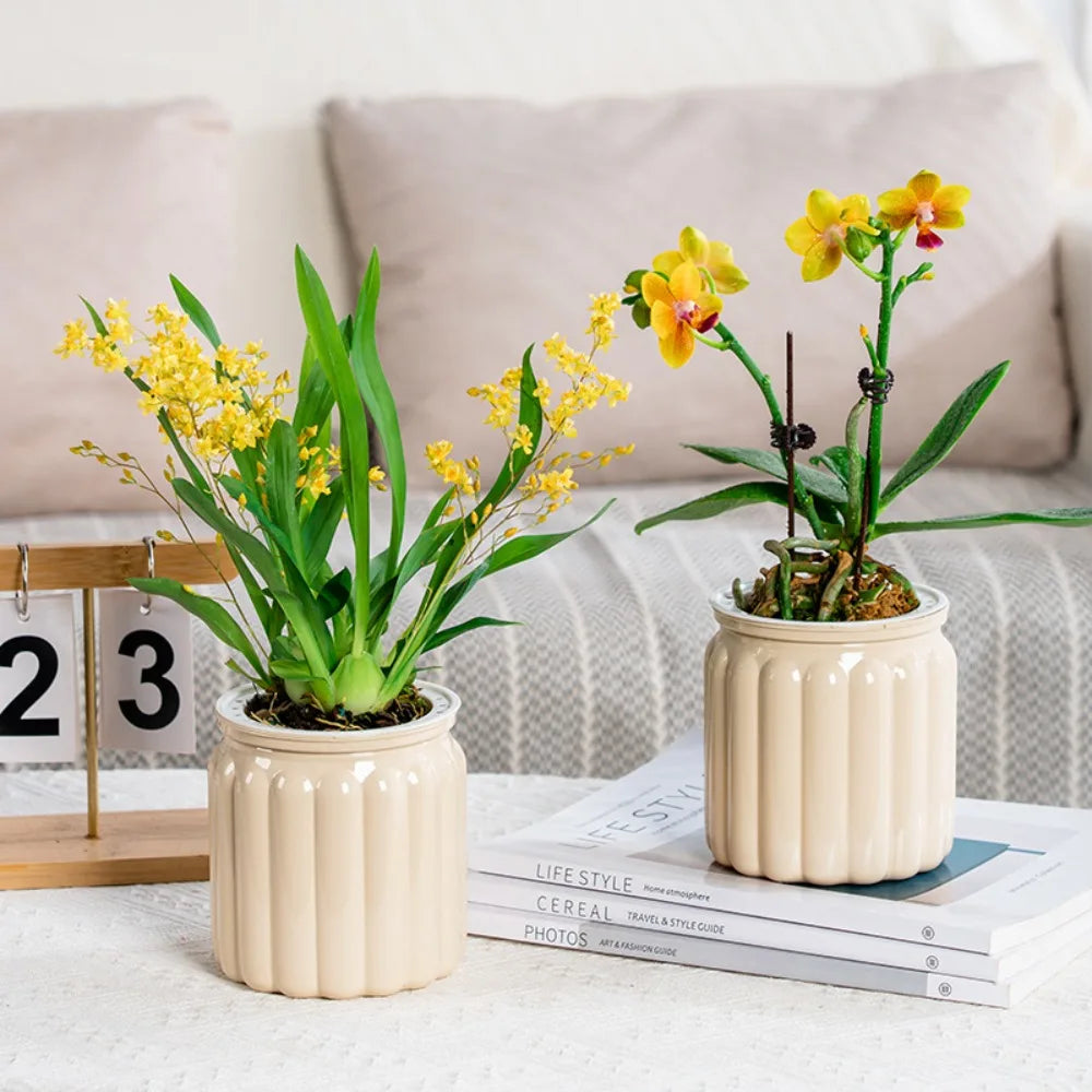 Hydroponic Plants Pot Self Watering Flowerpot