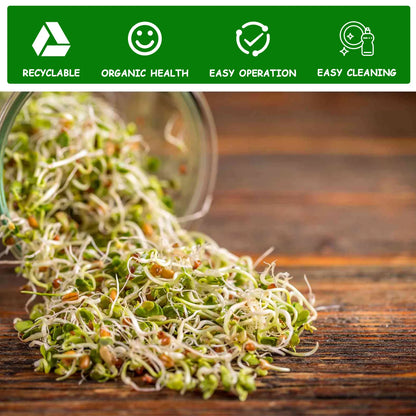 Seed Sprouting Jar Kit Durable Glass Bean Sprouts