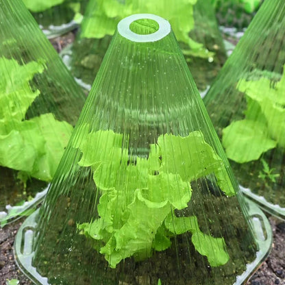 Plant Cover Greenhouse for Plants Vegetable Garden