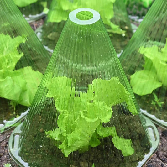 Plant Cover Greenhouse for Plants Vegetable Garden