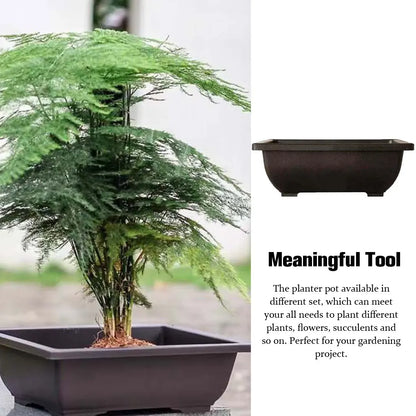 Plant Pots Bonsai Flower Succulent Planter Indoor