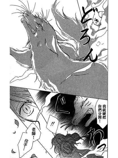 Japanese popular anime 21x30cm 20/30/40pcs manga