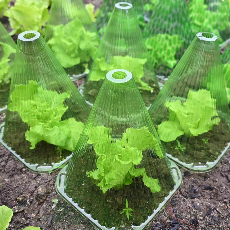 Plant Cover Greenhouse for Plants Vegetable Garden