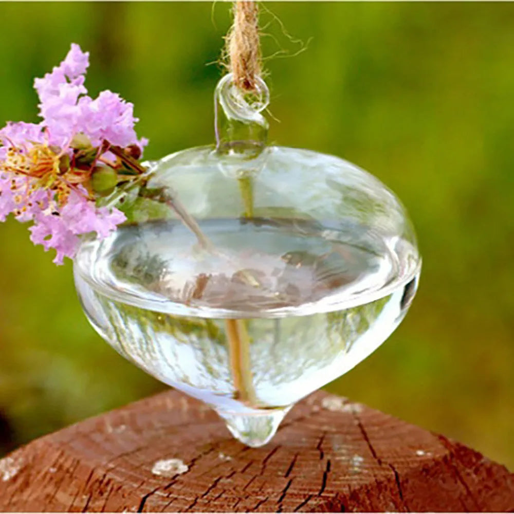 Clear Flower Hanging Vase Glass Planter Succulents