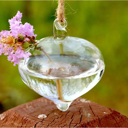 Clear Flower Hanging Vase Glass Planter Succulents