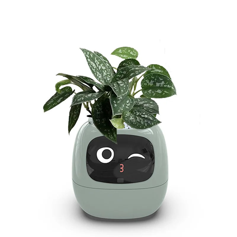 Ivy Smart Planter Endless Fun Over 49 Rich