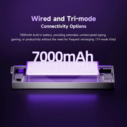 AKKO x Veekos Shine60 HE Magnetic Switch Keyboard 60% Rapid Trigger Keboard RT 0.01mm Snap Key Custom Keyboard for Esports Gamer - MyLootWare