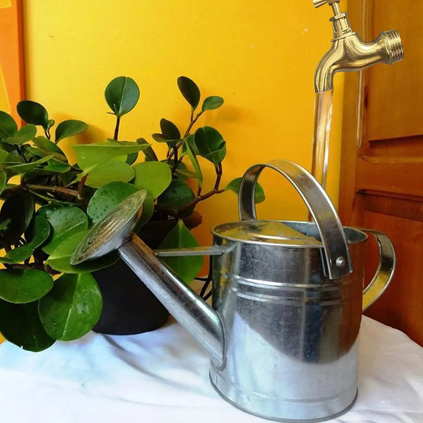 Invisible Flowing Spout Watering Can Fountain