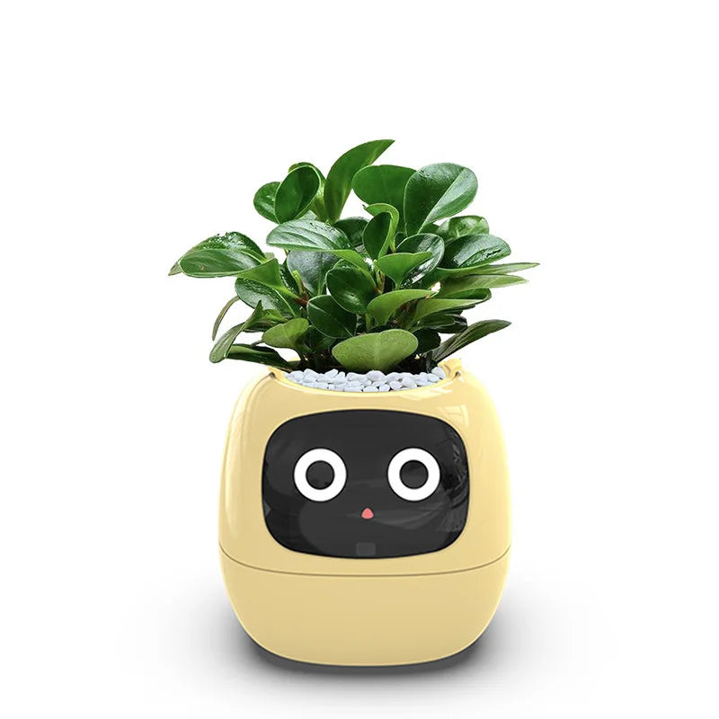 Ivy Smart Planter Endless Fun Over 49 Rich