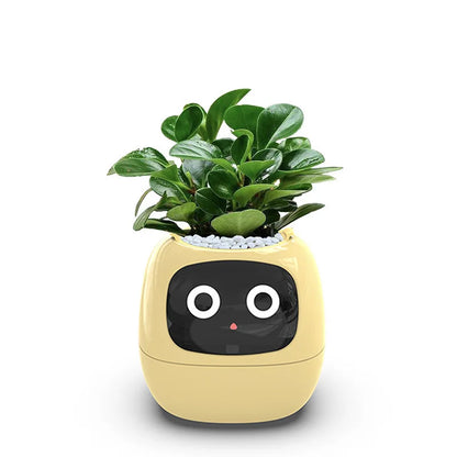 Ivy Smart Planter Endless Fun Over 49 Rich