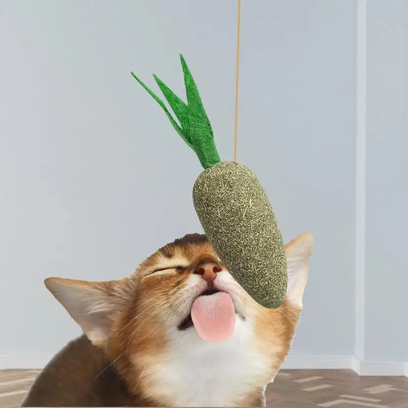 Catnip Cat Toys Cartoons Edible Catnip Ball Safety Healthy Cat Mint Cats Molar Teeth Clean Teeth Game Pet Toy Catnip Filled - MyLootWare