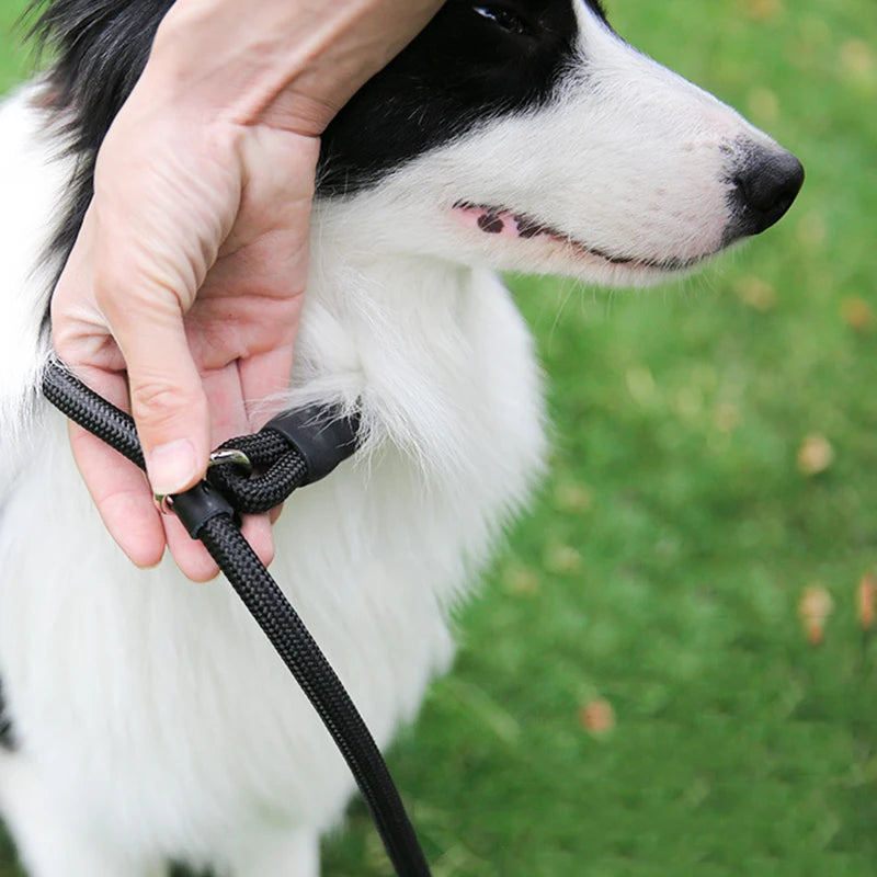 Nylon Dog Training Leash for Small & Medium Dogs