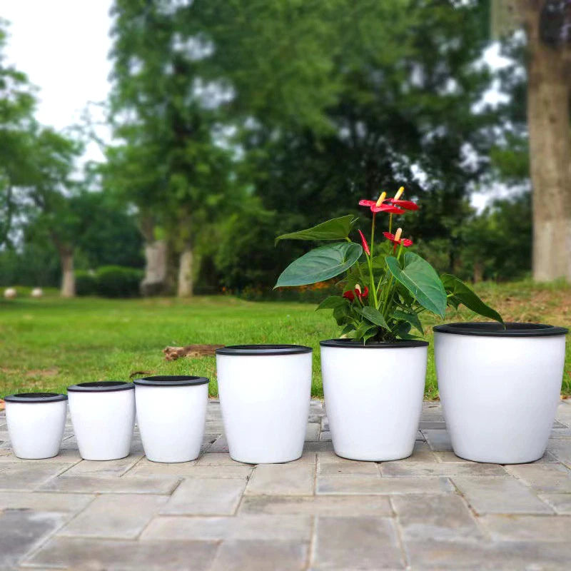 Self-Watering Hydroponic Flower Pot for Home