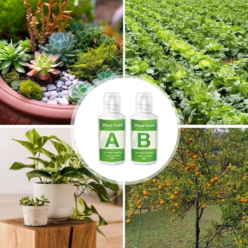 AB Fertilizer Set for Hydroponic Garden Plants - MyLootWare