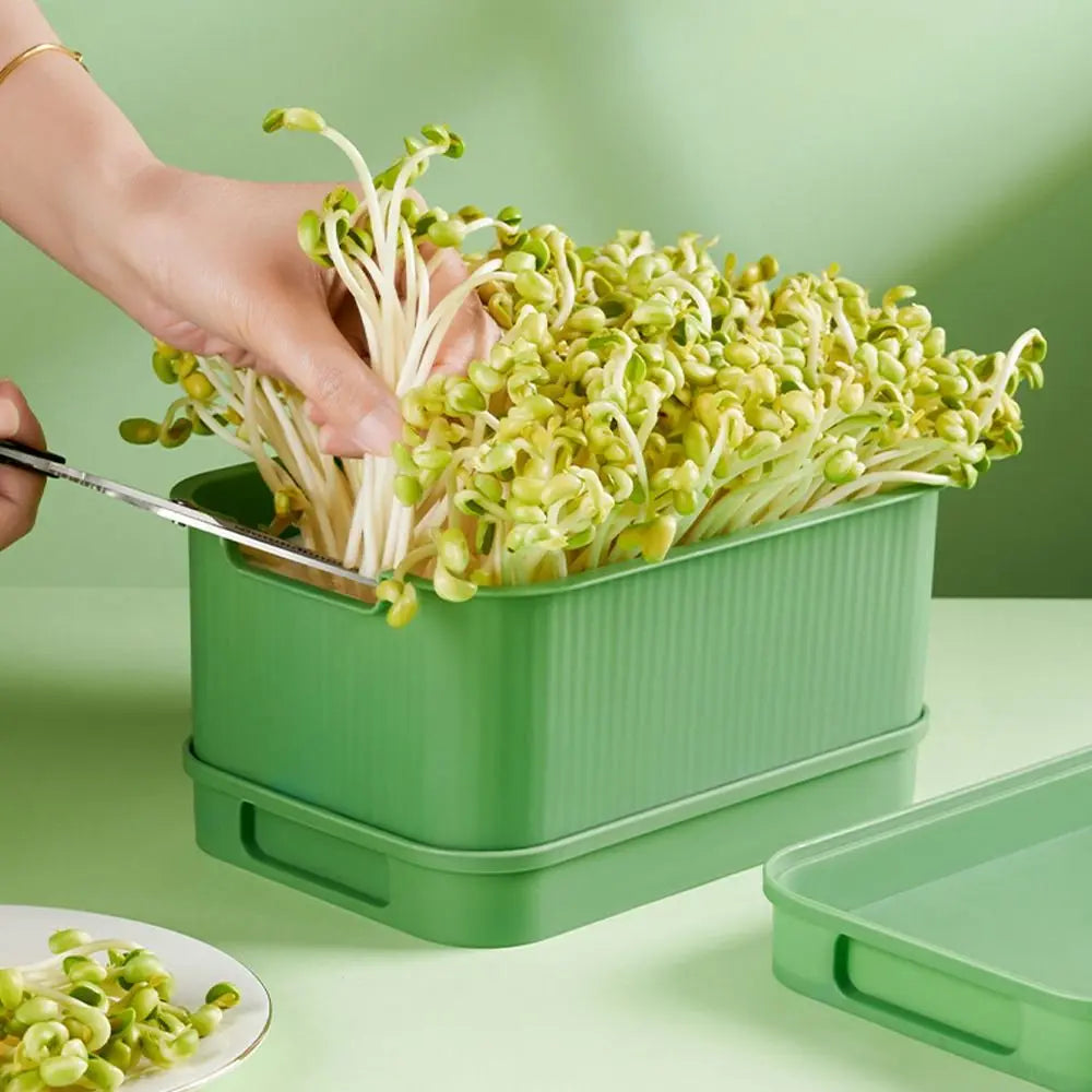 Soilless Cultivation Sprouts Growing Tray