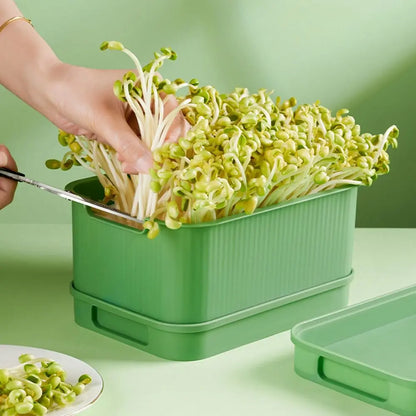 Soilless Cultivation Sprouts Growing Tray