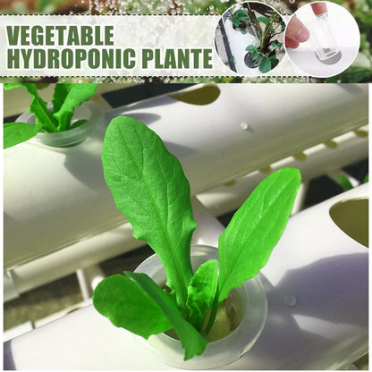 Hydroponics Growing System Kit,BHTNYOO 3