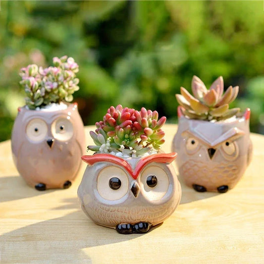 1Pcs Nordic Garden Supplies Decoration Creative Succulent Owl Flower Pot Pastoral Cute Animal European Style Household Flowerpot - MyLootWare