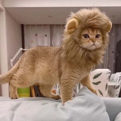 Pet Hairpiece - Humorous Lion Mane Headgear for