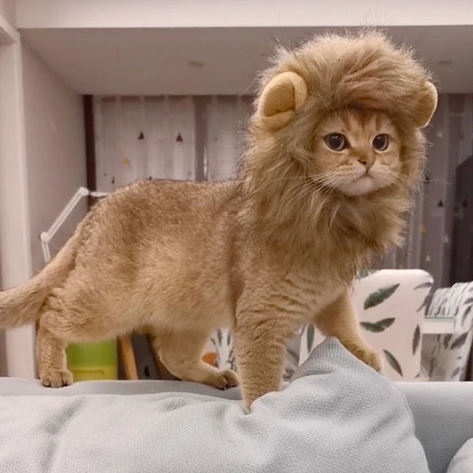 Pet Hairpiece - Humorous Lion Mane Headgear for