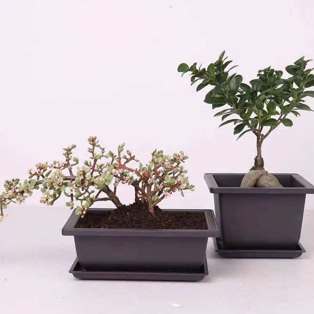 Plant Pots Bonsai Flower Succulent Planter Indoor