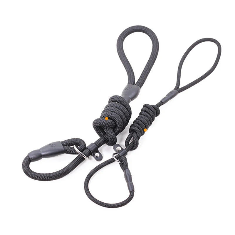 Nylon Dog Training Leash for Small & Medium Dogs