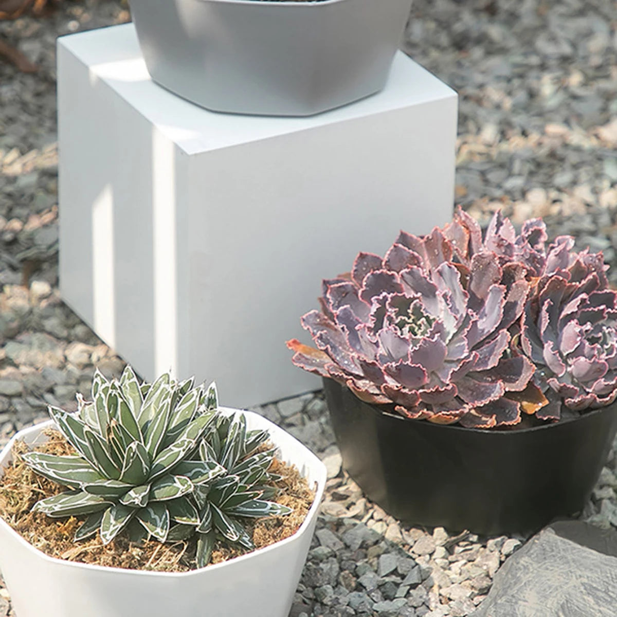 1PC succulent plant flowerpot large caliber flowerpot - MyLootWare