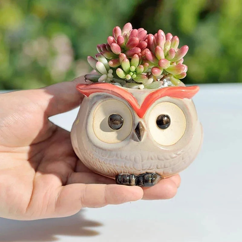 1Pcs Nordic Garden Supplies Decoration Creative Succulent Owl Flower Pot Pastoral Cute Animal European Style Household Flowerpot - MyLootWare