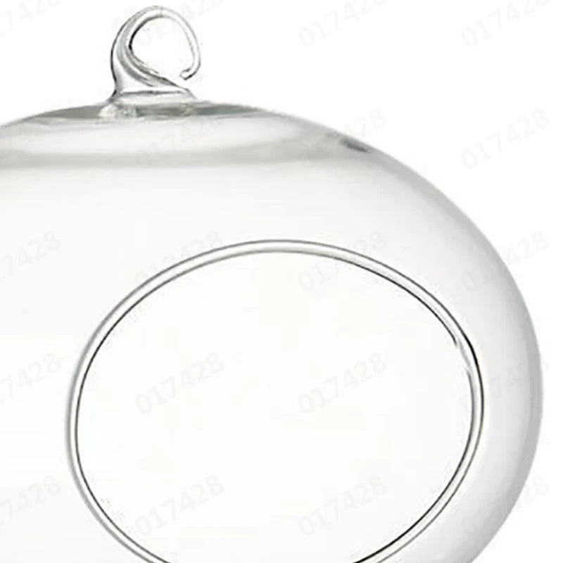 Clear Flower Hanging Vase Glass Planter Succulents