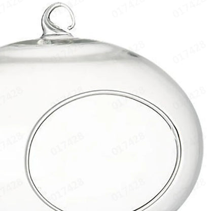 Clear Flower Hanging Vase Glass Planter Succulents