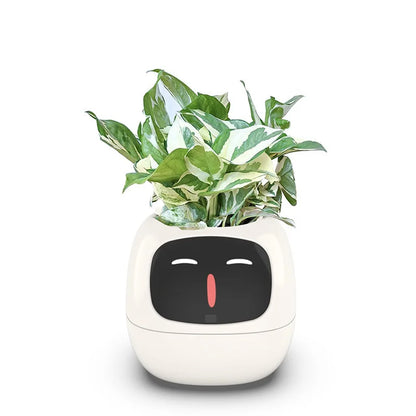 Ivy Smart Planter Endless Fun Over 49 Rich