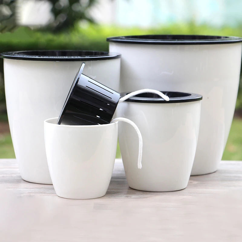 Self-Watering Hydroponic Flower Pot for Home