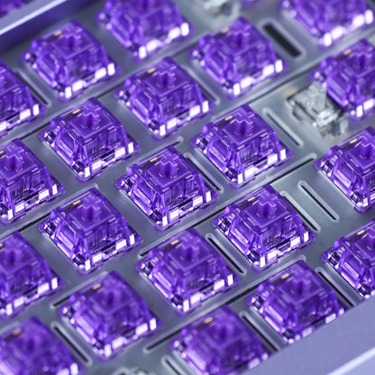 Chosfox Poison Gas SwitchV2 Paragraph Switch Keyboard Mechanical Switch 5 Pin Hot Swappable Mechanical Switches for Keyboard - MyLootWare