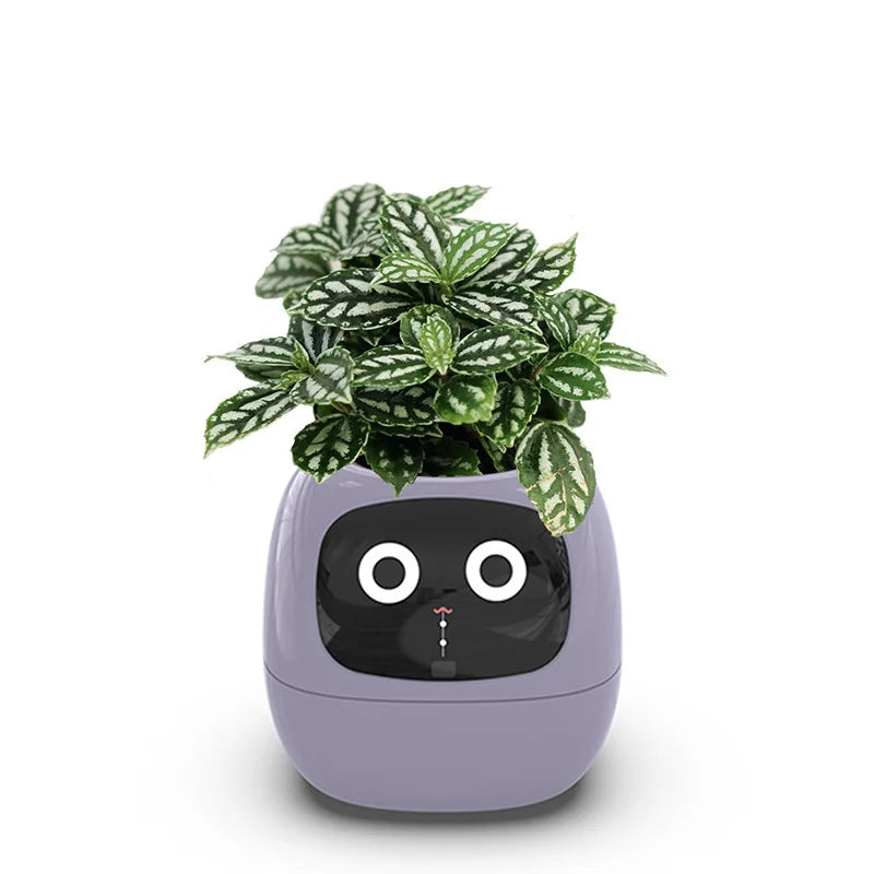 Ivy Smart Planter Endless Fun Over 49 Rich