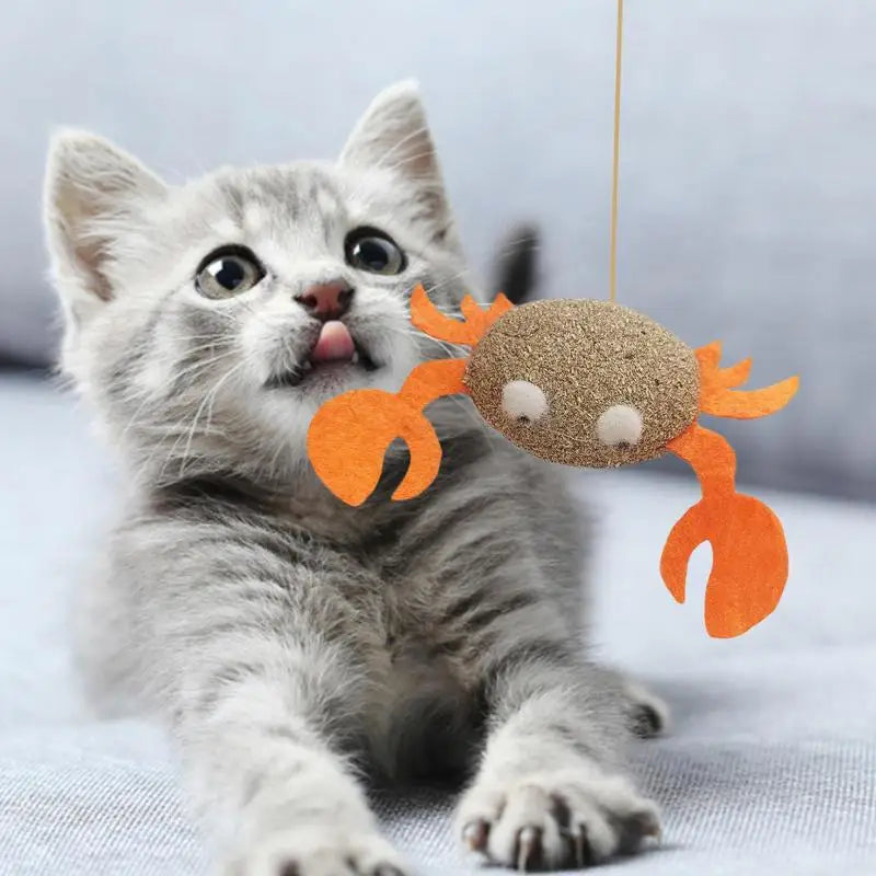 Catnip Cat Toys Cartoons Edible Catnip Ball Safety Healthy Cat Mint Cats Molar Teeth Clean Teeth Game Pet Toy Catnip Filled - MyLootWare