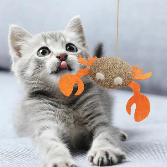 Catnip Cat Toys Cartoons Edible Catnip Ball Safety Healthy Cat Mint Cats Molar Teeth Clean Teeth Game Pet Toy Catnip Filled - MyLootWare