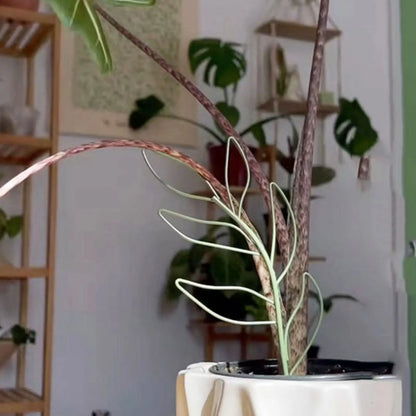 Iron Garden Plants Climbing Support Stake Metal