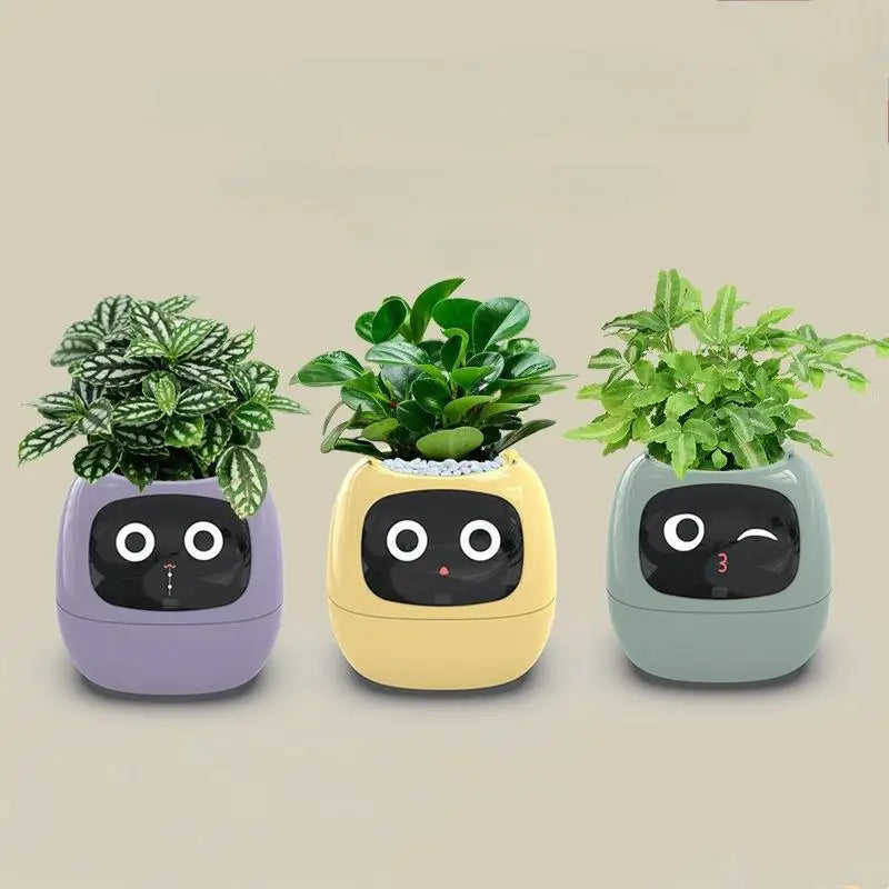Ivy Smart Planter Endless Fun Over 49 Rich