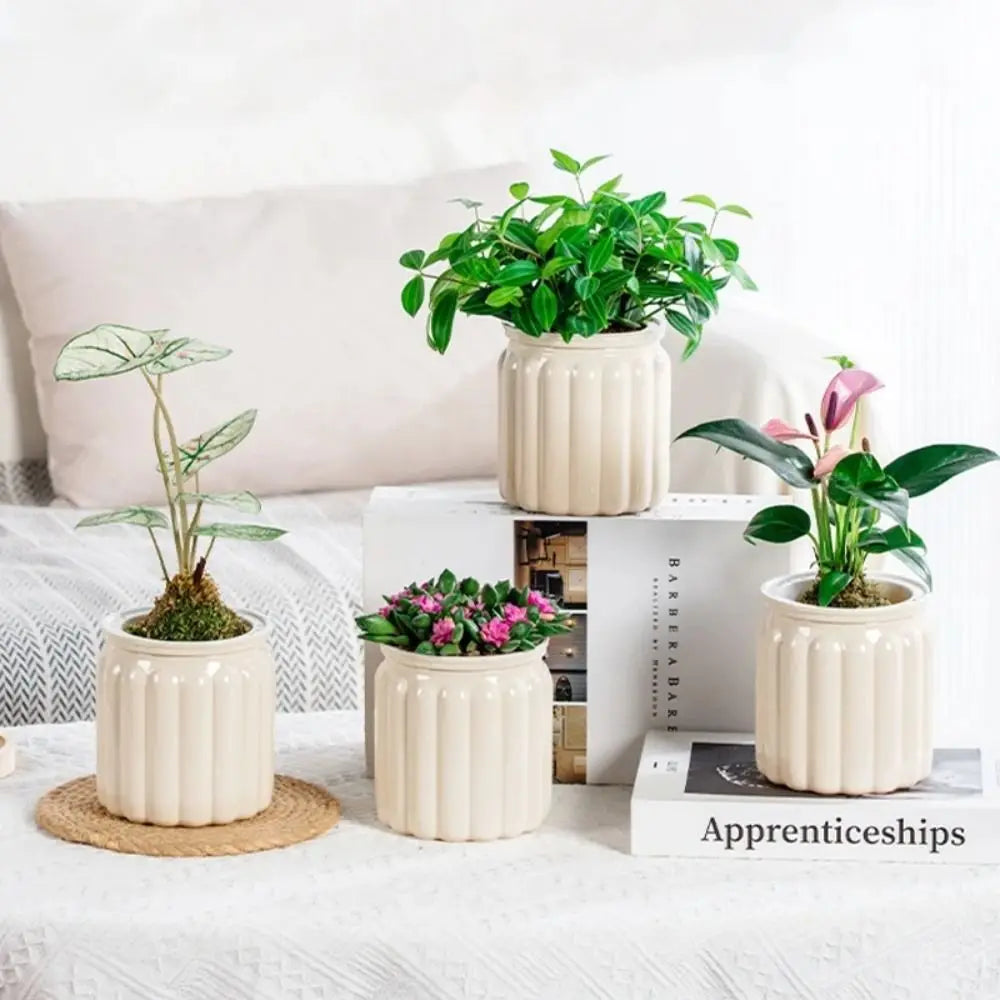 Hydroponic Plants Pot Self Watering Flowerpot