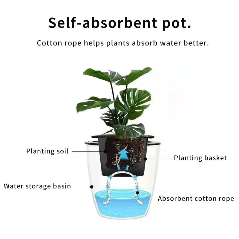 Self-Watering Hydroponic Flower Pot for Home