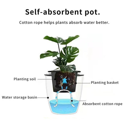 Self-Watering Hydroponic Flower Pot for Home