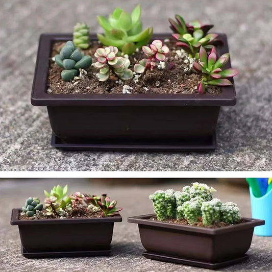 Plant Pots Bonsai Flower Succulent Planter Indoor Outdoor Breathable Rectangle Potted Vase for Balcony Supplies